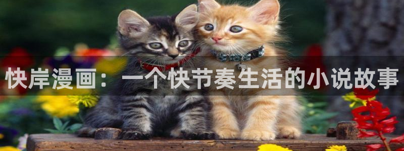 汗汗漫画网app下载：快岸漫画：一个快节奏生活的小说故事