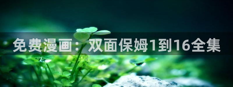 汗汗漫画：免费漫画：双面保姆1到16全集