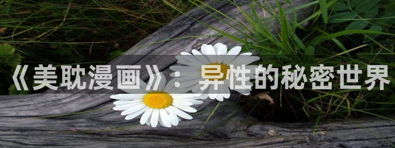 汗汗漫画平台：《美耽漫画》：异性的秘密世界