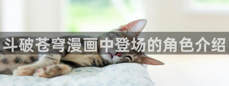 汗汗漫画歪歪漫画免费入口在线：斗破苍穹漫画中登场的角色介绍