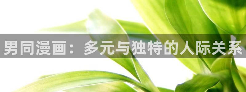 歪歪漫画汗汗漫画：男同漫画：多元与独特的人际关系