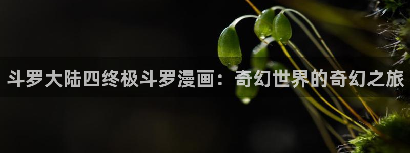 汗汗漫画首页面：斗罗大陆四终极斗罗漫画：奇幻世界的奇幻之旅