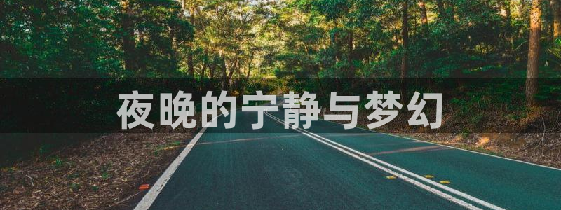 汗汗漫画画免费观看下拉式：夜晚的宁静与梦幻