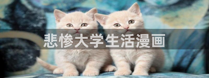 汗汗漫画官网在线观看