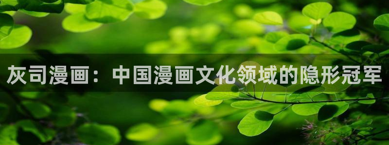 健身教练汗汗漫画入口：灰司漫画：中国漫画文化领域的隐形冠军