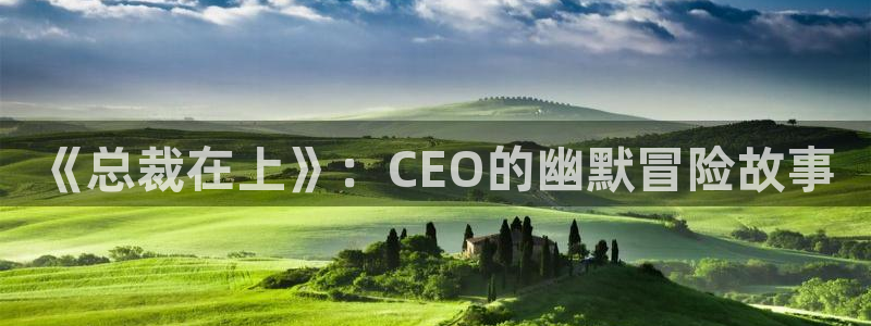 汗汗漫画网站官网：《总裁在上》：CEO的幽默冒险故事